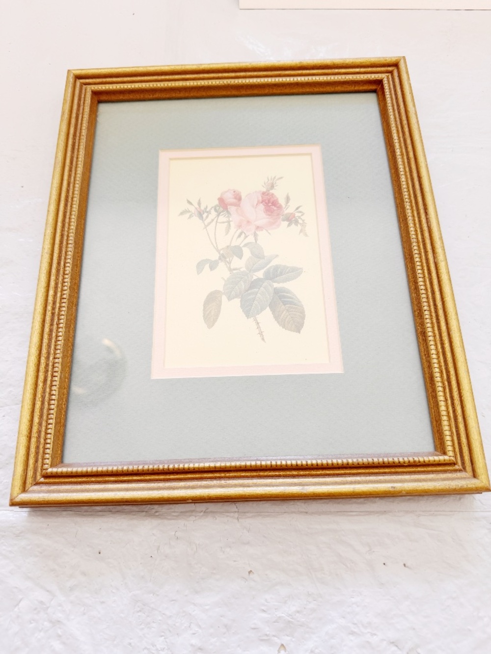 Framed Botanical Print Pink Roses Floral Picture Ornate Gold Frame 9x11